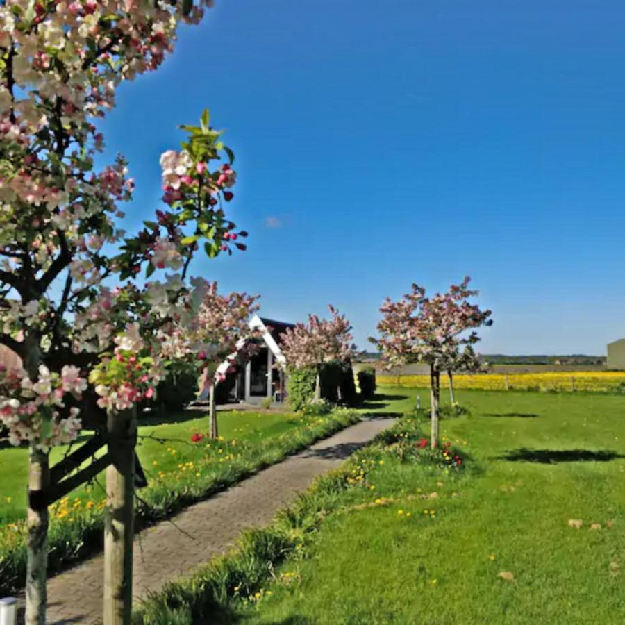 Hotelhuisje Warmenhuizen #C Exteriér fotografie
