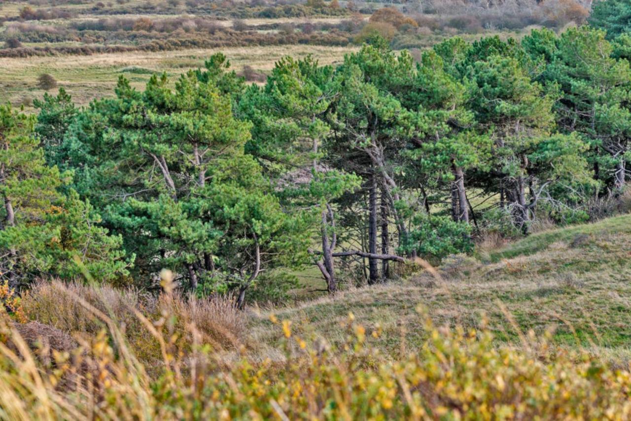 Hotelhuisje Warmenhuizen #C Exteriér fotografie